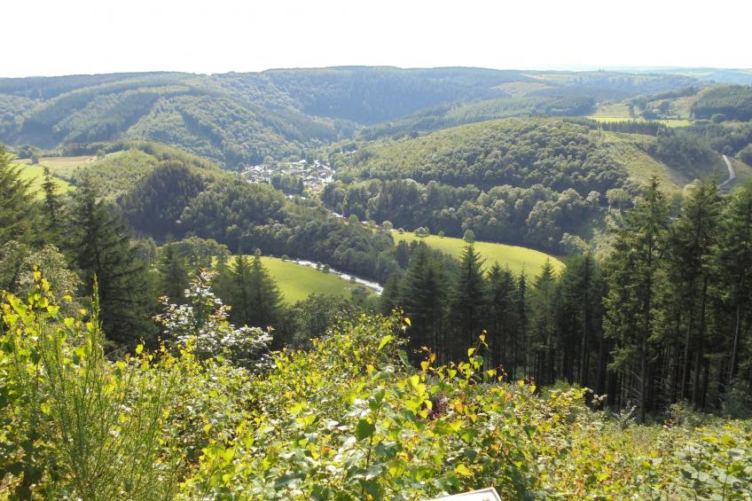 Le Domaine des Arts - foto 21