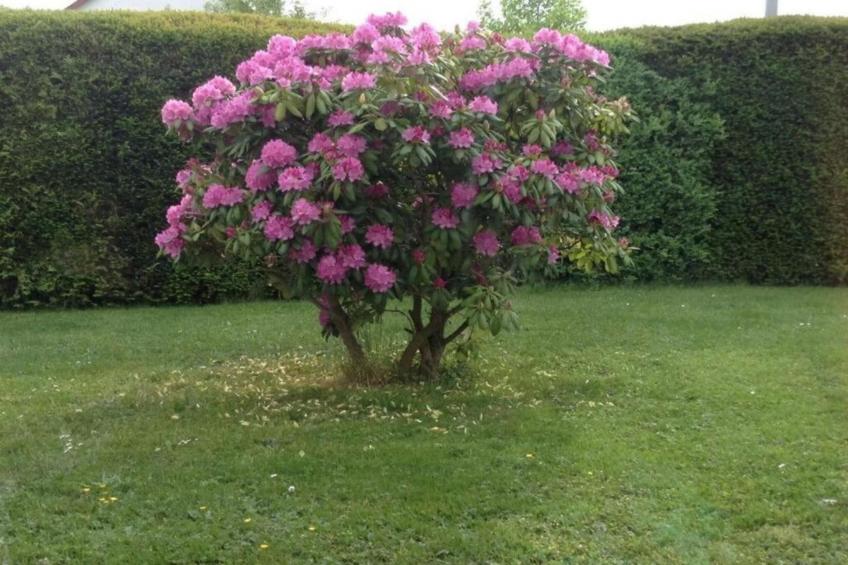 Suite im Taunus - foto 27