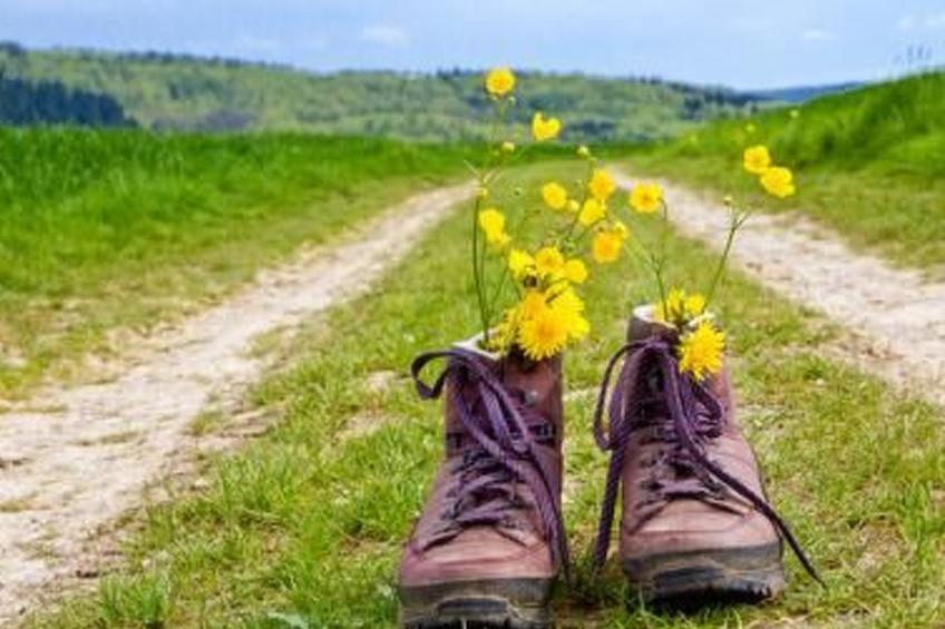 in Volksdorf mit Großer Terrasse - foto 28