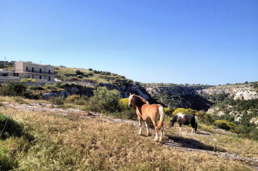 Komfortable Villa Castello - Blick auf Cava d'Ispica - foto 47