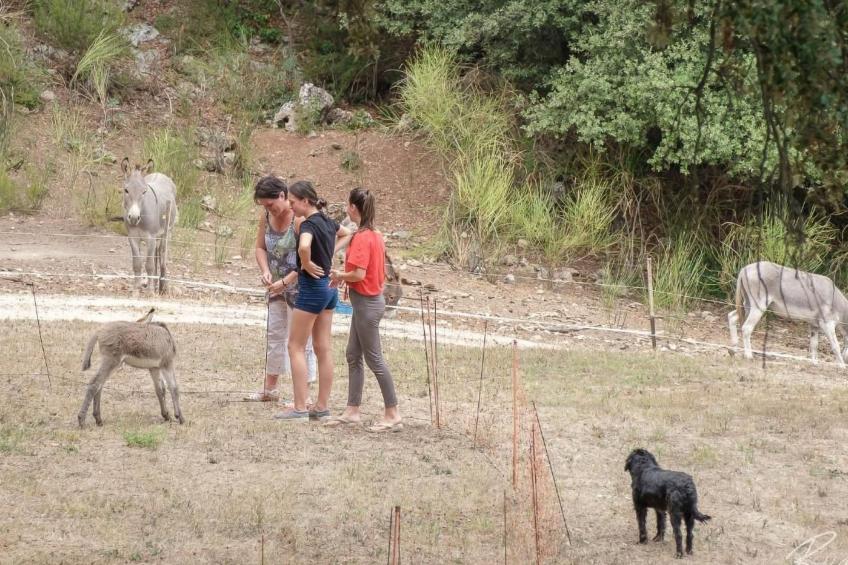 Wohnung in charmantem Haus auf Domäne - foto 18