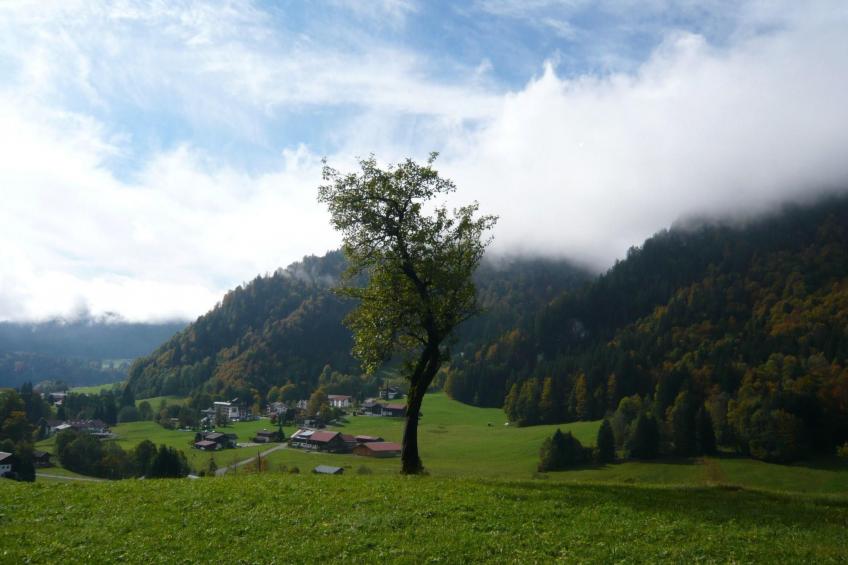 Falkenberg Wh 218 - foto 10