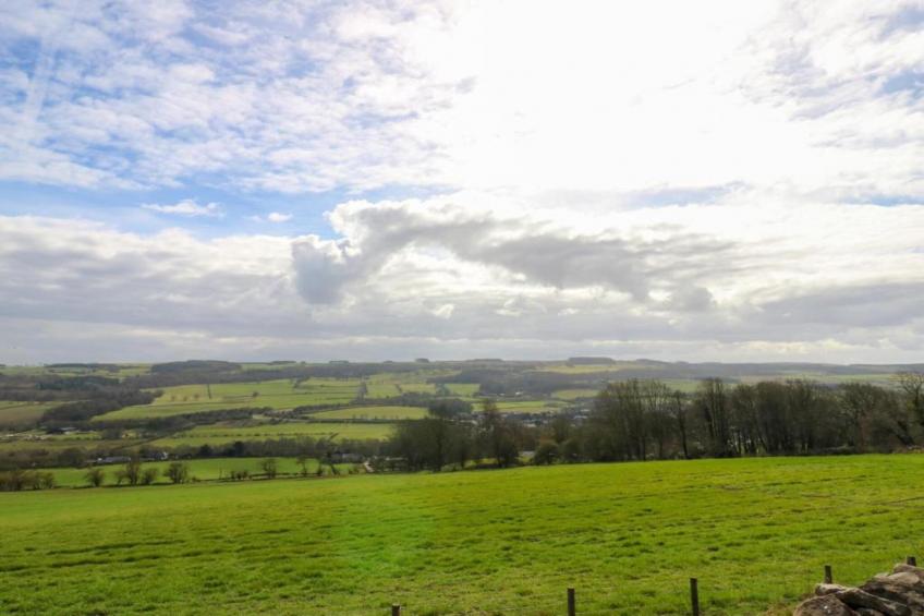 The Rushy Lot - foto 38