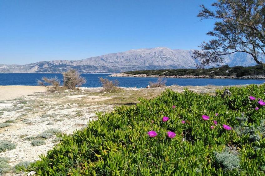 Apartments Agava & Lucija-Studio Apartment(First Floor) - foto 9