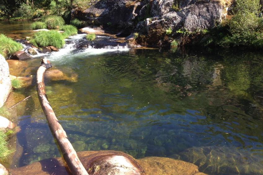 "Großmutters Häuschen" mit überdachter Terrasse - foto 48