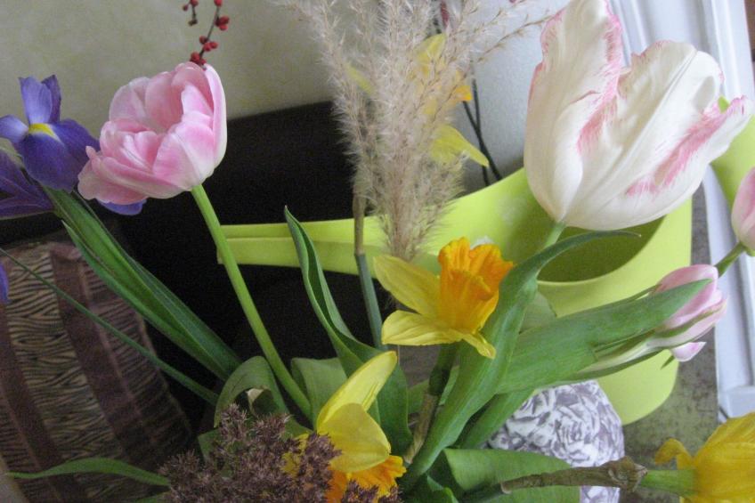 Studio Brennerei Haselberg - foto 15