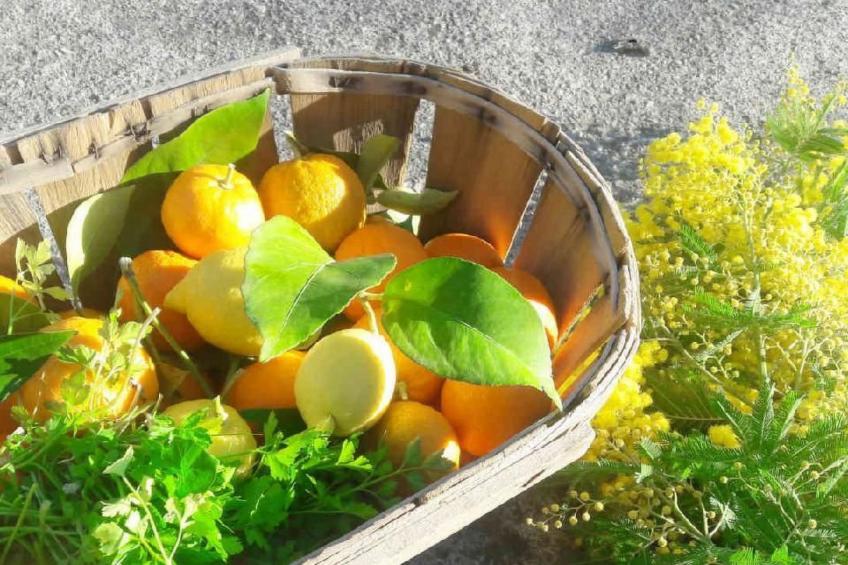 Appartement in Le Bar-Sur-Loup mit Eigenem Garten - foto 25
