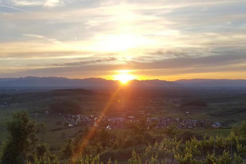 Schwarzwald - foto 32