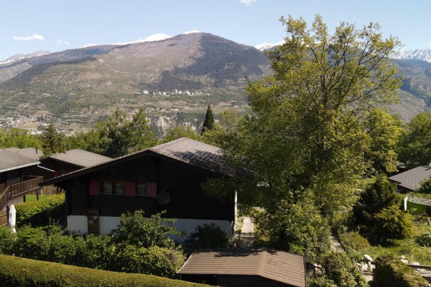 Chalet Oase - foto 18