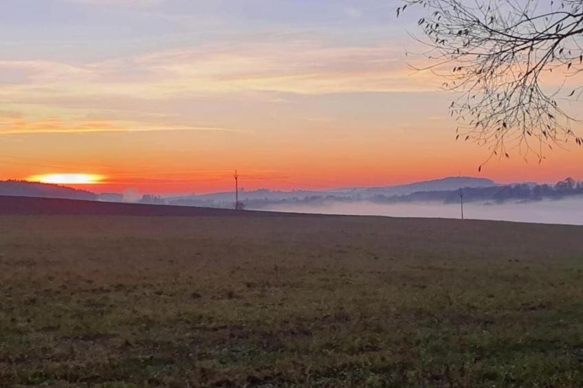 Huis Javornik - foto 38