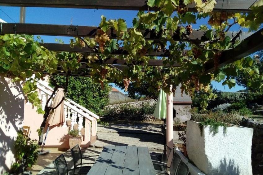 in Dobropoljana mit Freiterrasse - foto 32