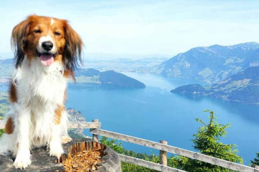 Chalet Hörler - foto 21