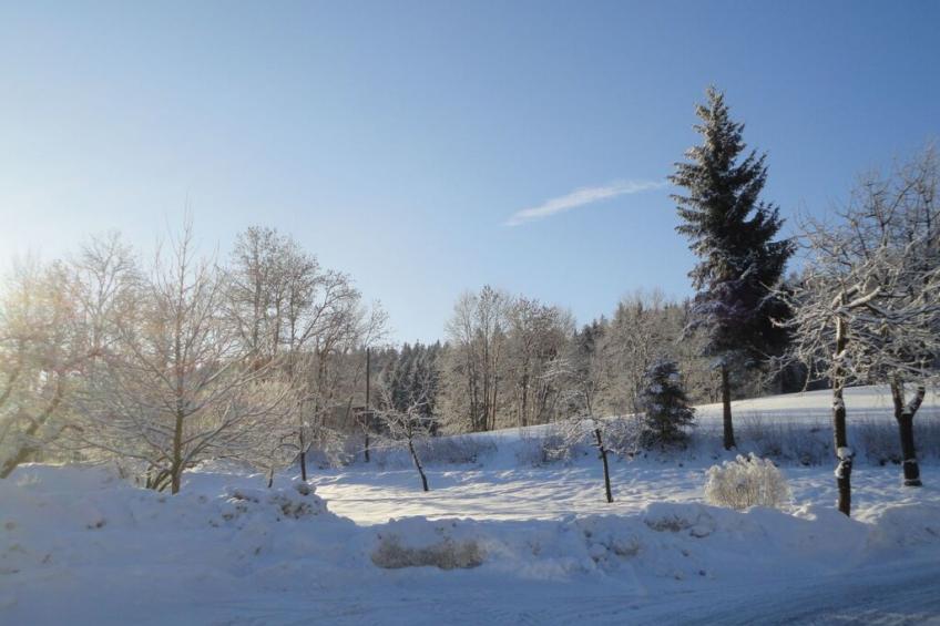 36139 - foto 4