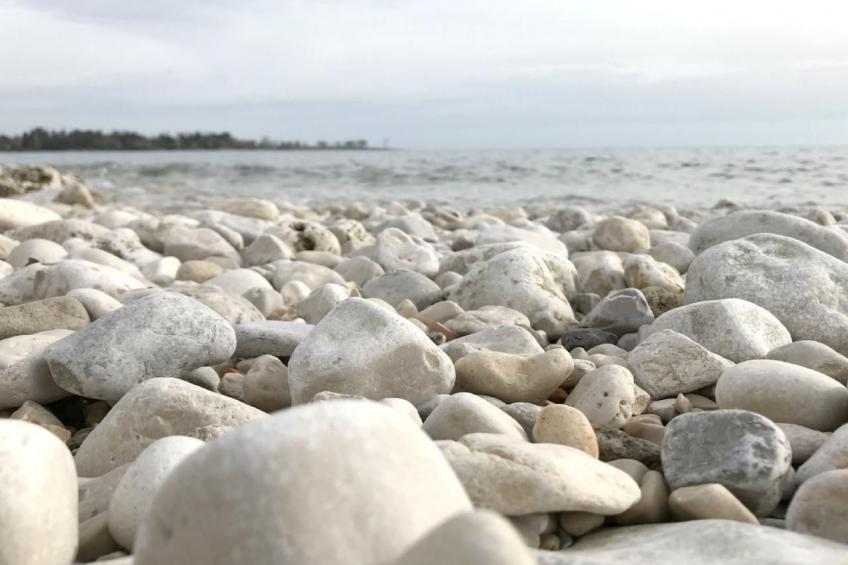 Große Wohnung in Babići mit Garten und Terrasse - foto 42