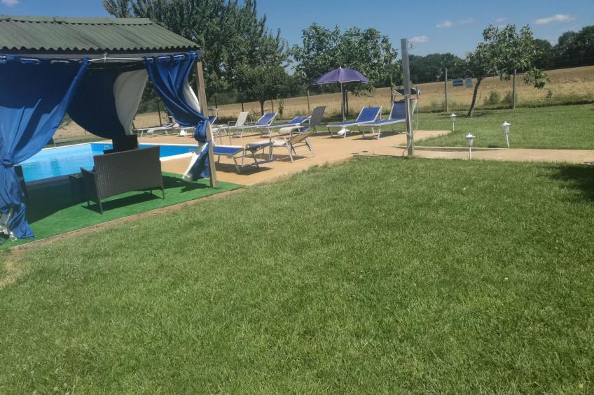 Die Maulbeerbäume auf dem Bauernhof - foto 25