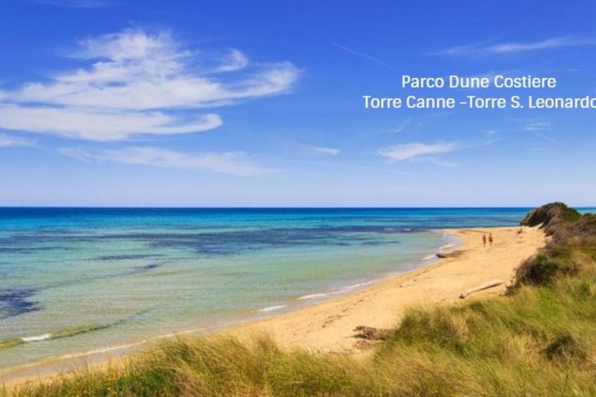 Villa Ferreri in der Nähe der Strände - foto 34