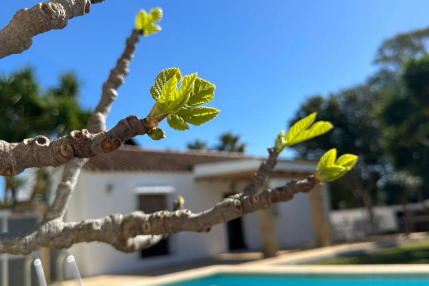 für 6 Personen in Fuente del Gallo - foto 11