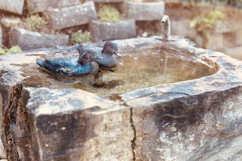 Alpaka-Ferienhaus Oenzlen - foto 21