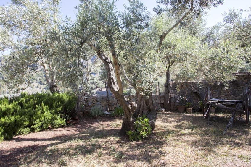 VILLA ES COCO SOLLER - foto 25