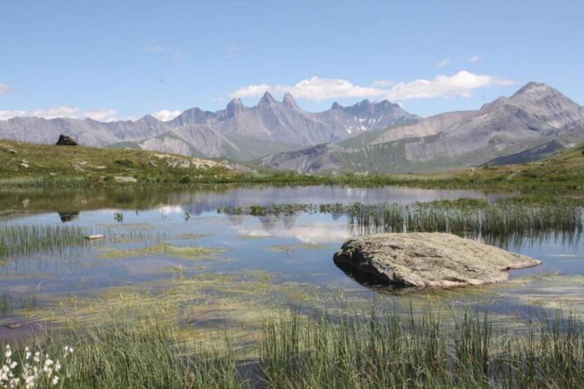 Les Marmottes N°42 - 3P6 - foto 24