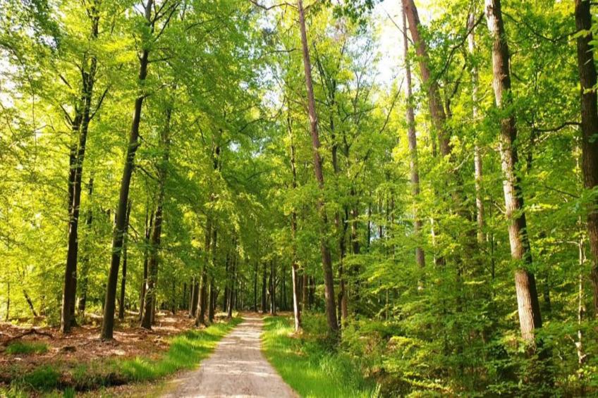 Heivlinder Comfort 4p - foto 16