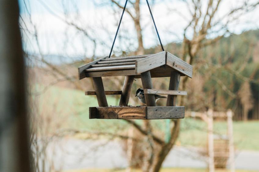 Im Bayerischen Wald - foto 20