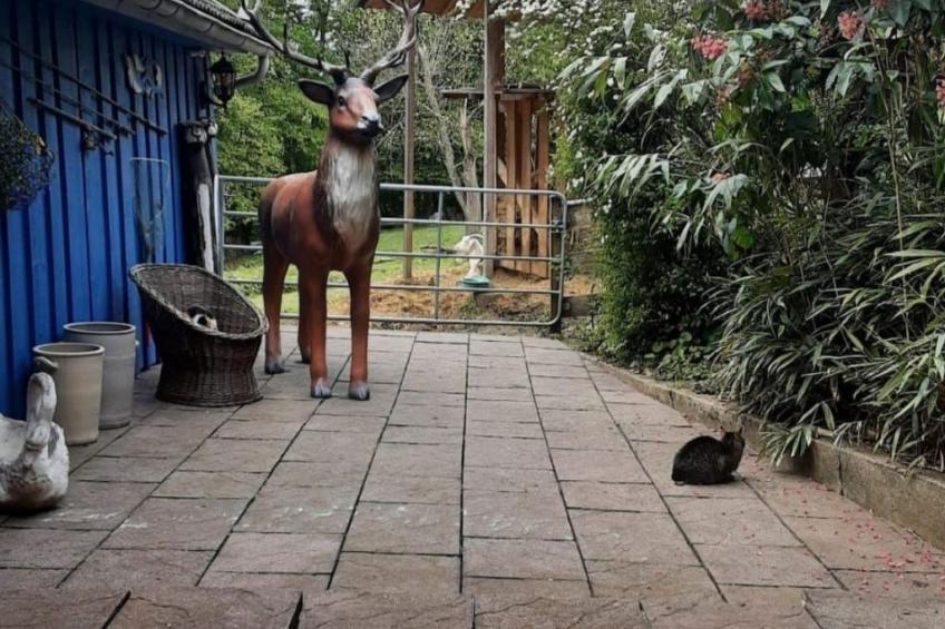 Siegstrand - foto 47