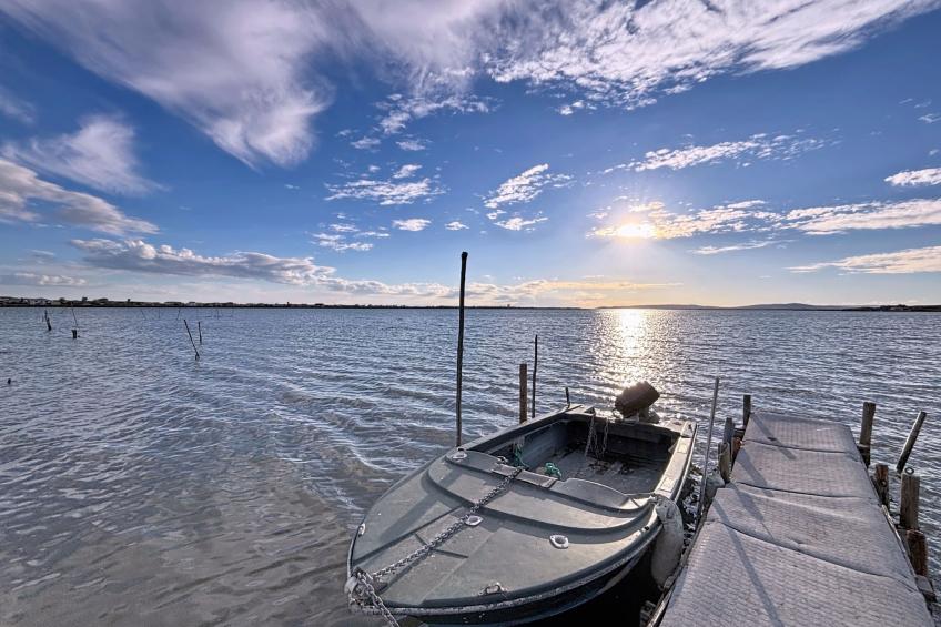 Les cabanes de Pérols - foto 37