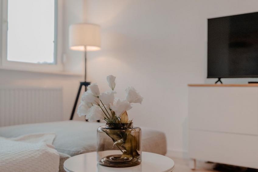 Apartment mit Küche, Arbeitsplatz und xxl Sofa - foto 14