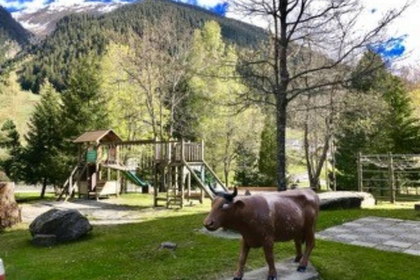 Disentiserhof Hönig - foto 4