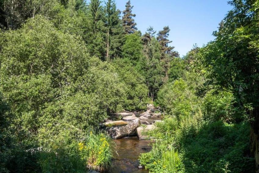 Gîte de France Le moulin du chambon 6/8 pers 3 épis - foto 40