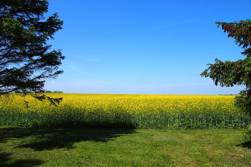 Galerie West - foto 29