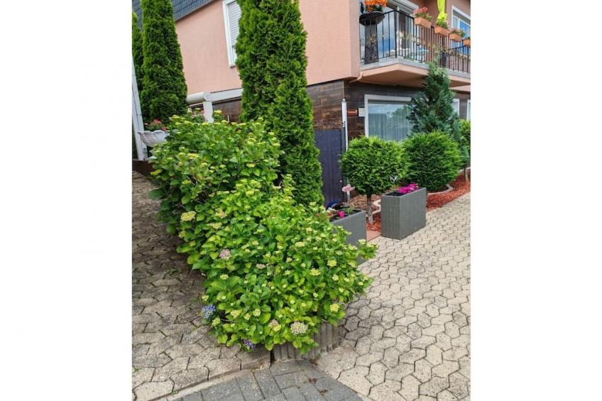 205142 - foto 6