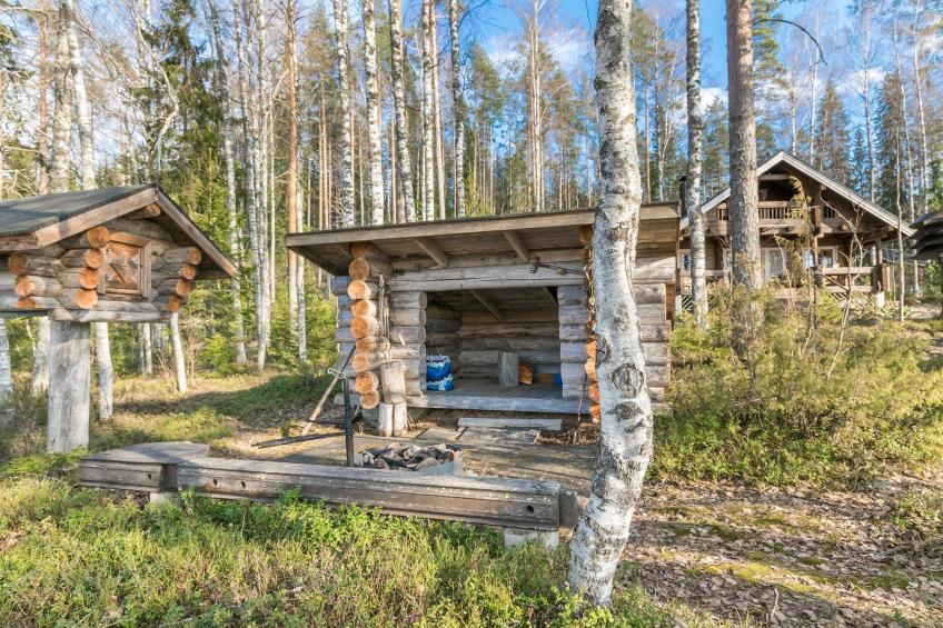 Pirttiniemi - foto 7