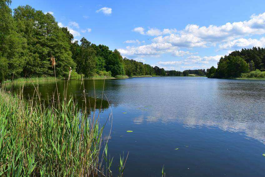 Ferienhäuser Inselblick / Ferienhaus 2 60 qm - foto 36