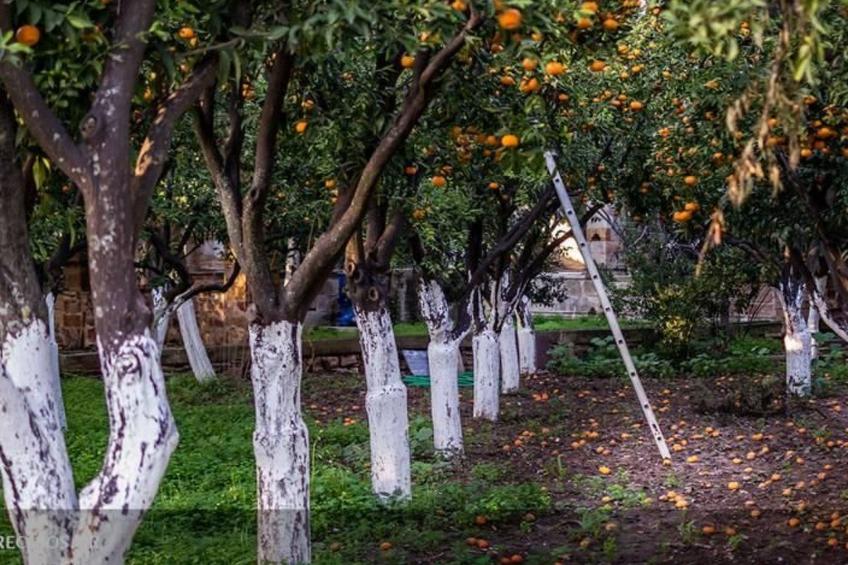 Charmante Villa mit Meerblick - 300m. vom Strand entfernt - foto 36