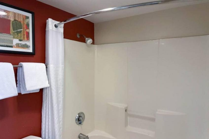 1 King Bed  Suite Non-Smoking - foto 11