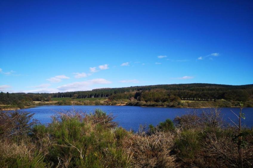 Domaine Courniou - foto 40