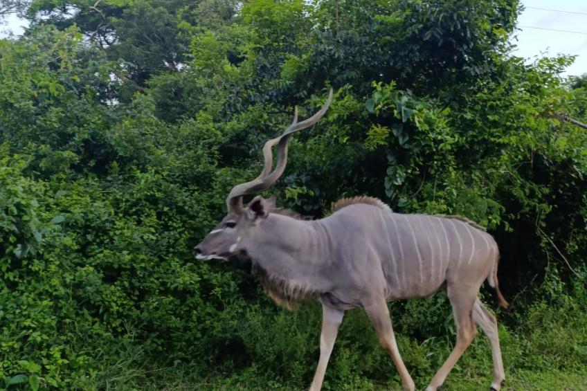 National Park View - foto 24