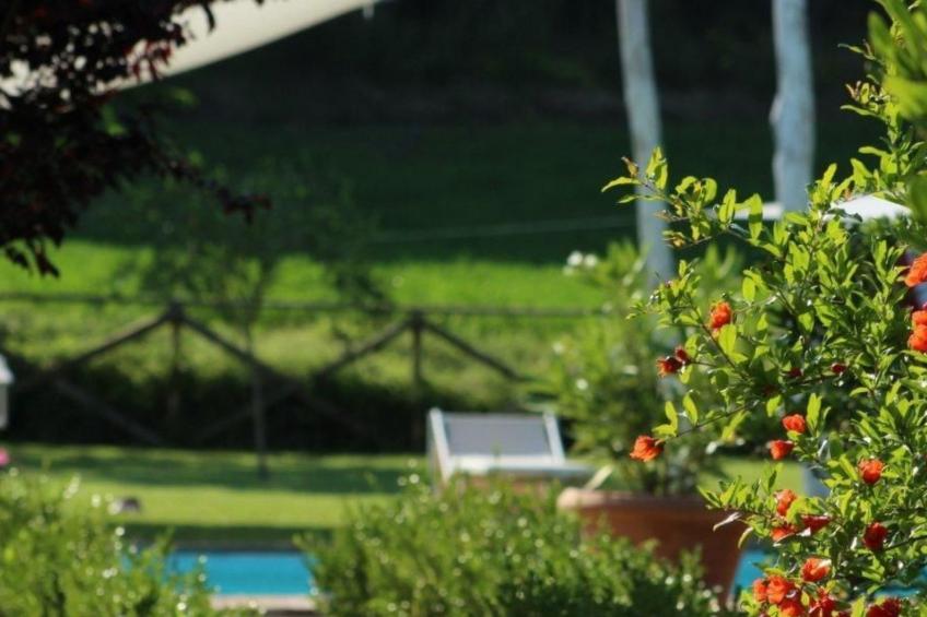 Apartment MONTONE - foto 5