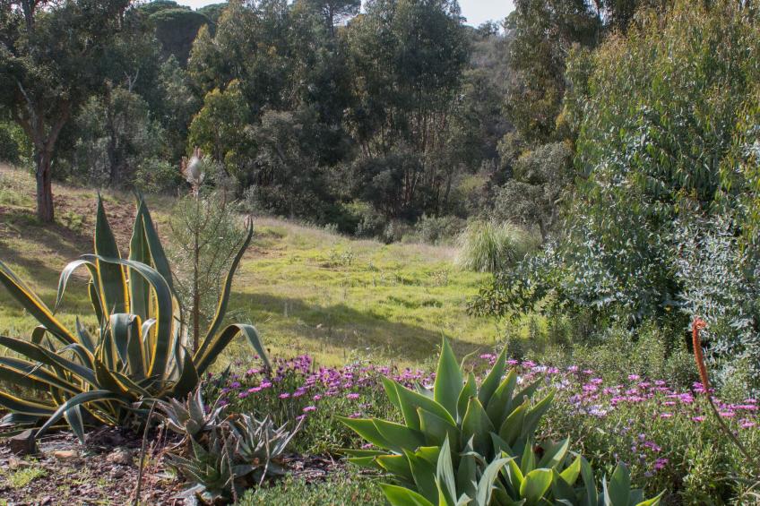 Monte Horizonte Casa Oliveira Öko und Natur - foto 14