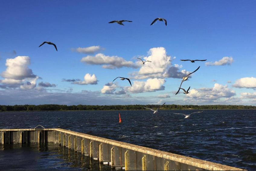 Houseboat Floating Houses Blue Active, Ribnitz-Damgarten - foto 33