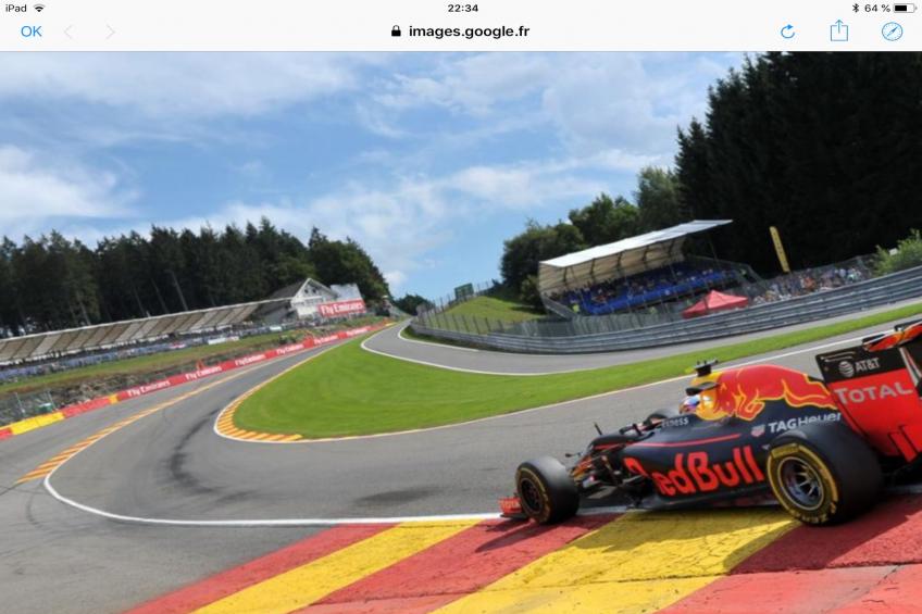 Red Hazels - foto 26