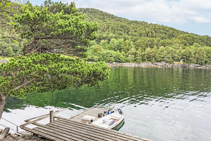 Svanöy (FJS508) - foto 26