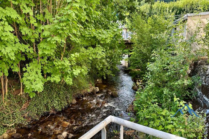 La Rive Gambetta La Bourboule 4 pers - foto 17