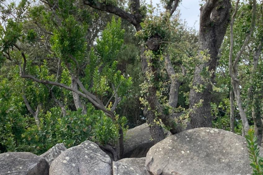 La Loggia mit privatem Pool - foto 102