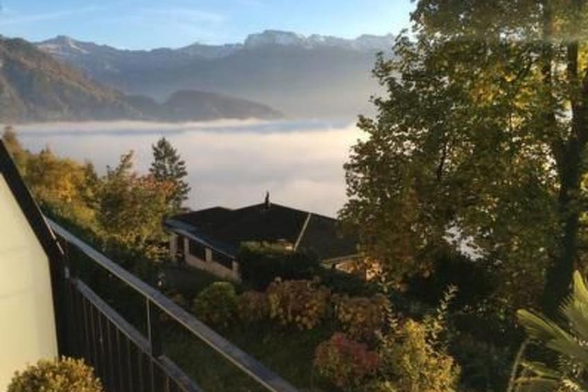 Traumstrand Vitznau - foto 11