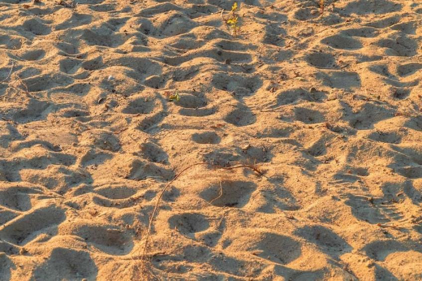 Seewind / 7-8 Personen|Seewind, 7-8 Personen - foto 33