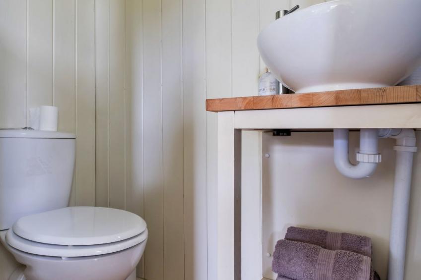 Hay and Hedgerow Glamping - foto 17