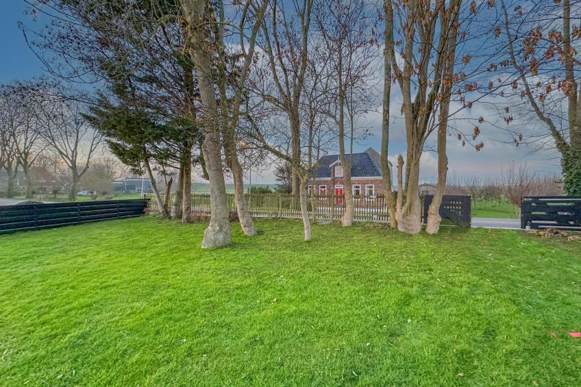 Beets View - foto 33